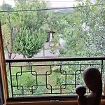 Veronica * Rukavac (Primorje-Gorski Kotar)